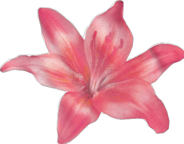 Pink flower